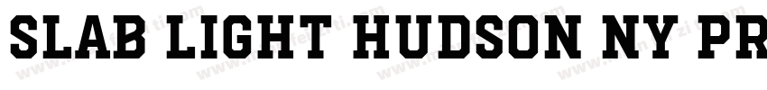 Slab Light Hudson NY Pro字体转换